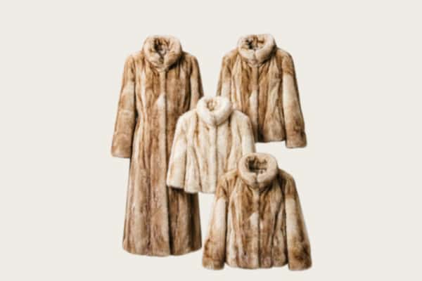 小金县回收皮草衣服